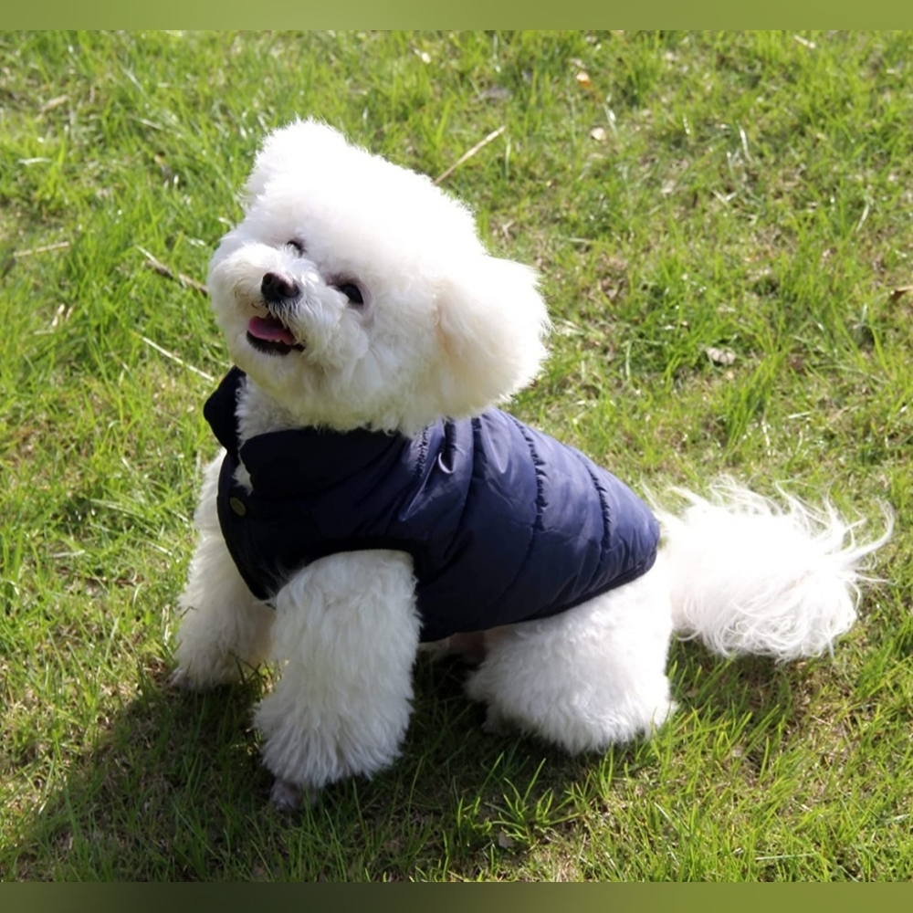 Fleece Lined Dog Jacket
